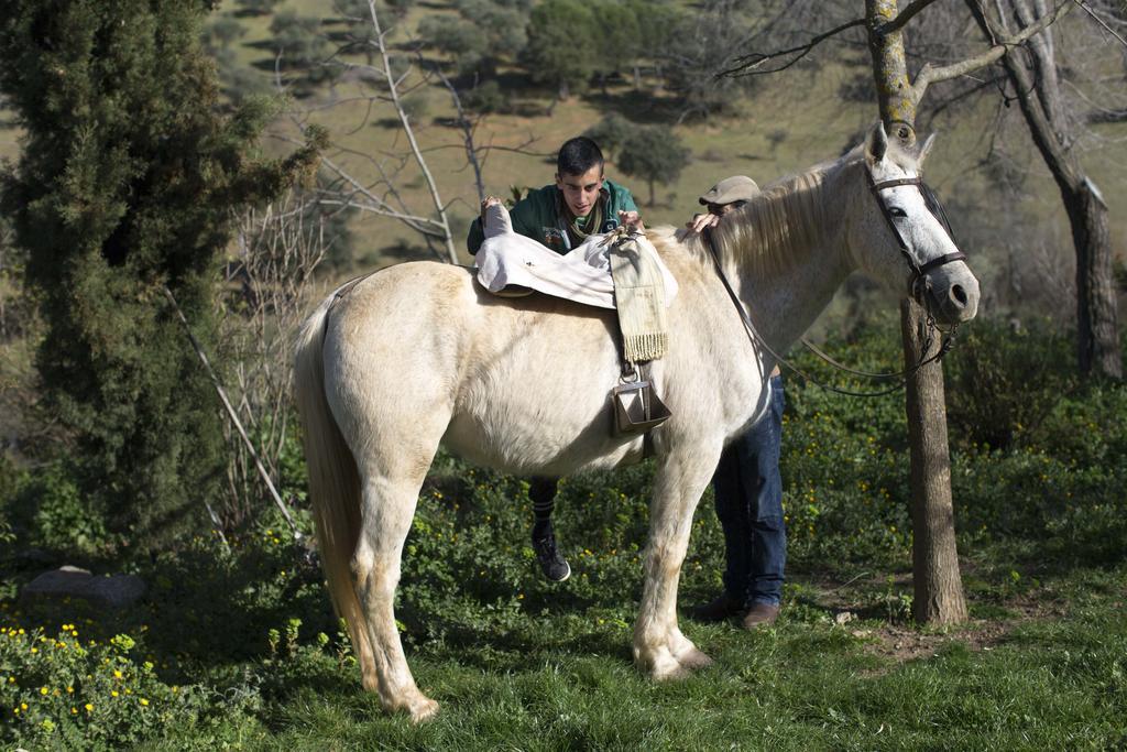 Cortijo El Berrocal ξενώνας Cazalla de la Sierra Εξωτερικό φωτογραφία